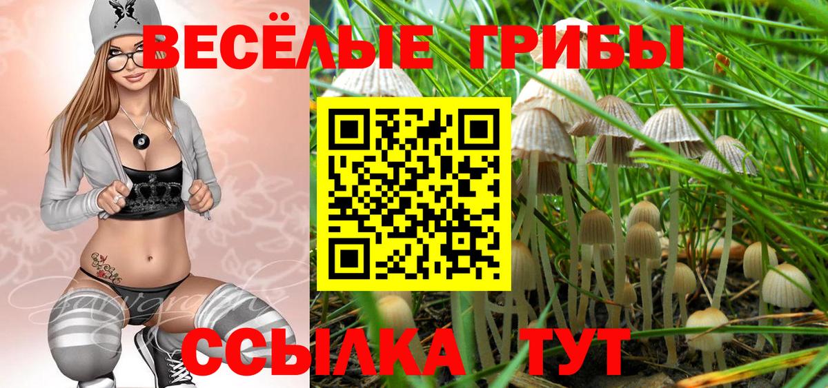 Псилоцибиновые грибы мицелий Тимашёвск