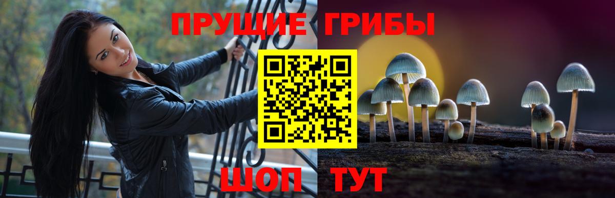 Псилоцибиновые грибы MAGIC MUSHROOMS  Псилоцибиновые грибы прущие грибы  Тимашёвск  где продают наркотики  Вход с VPN 